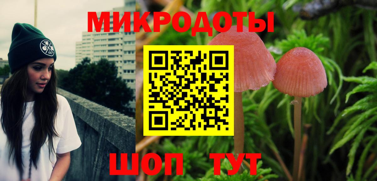 Псилоцибиновые грибы мицелий  Вход с VPN  Псилоцибиновые грибы GOLDEN TEACHER  Камень-на-Оби 